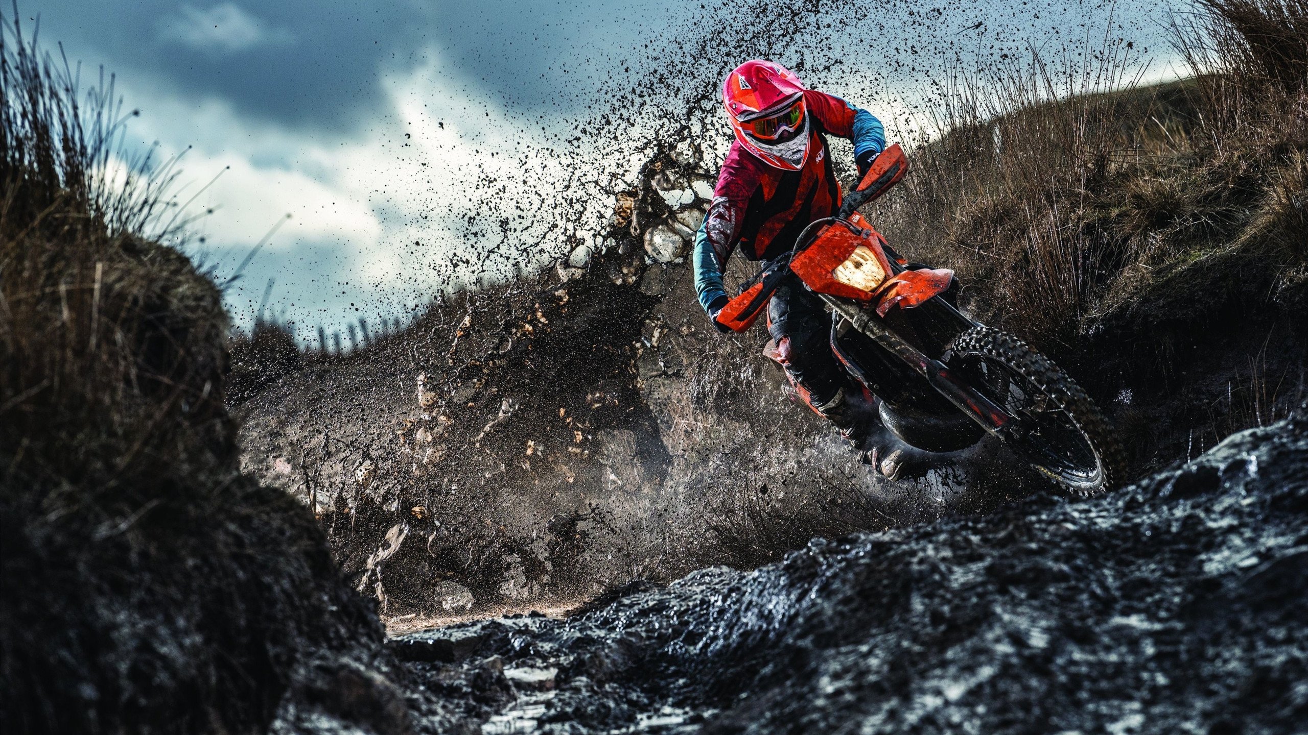 青少年体育训练质量提升,青少年体育训练理念