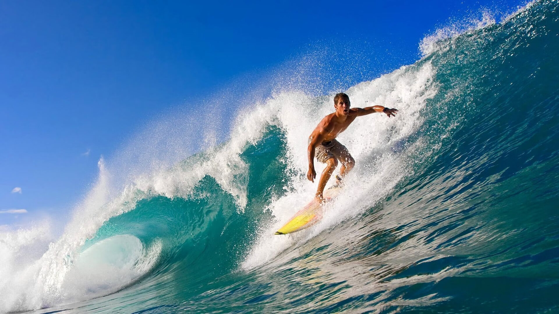 体育行业就业大数据报告显示需求持续增长，体育行业就业大数据报告显示需求持续增长的原因